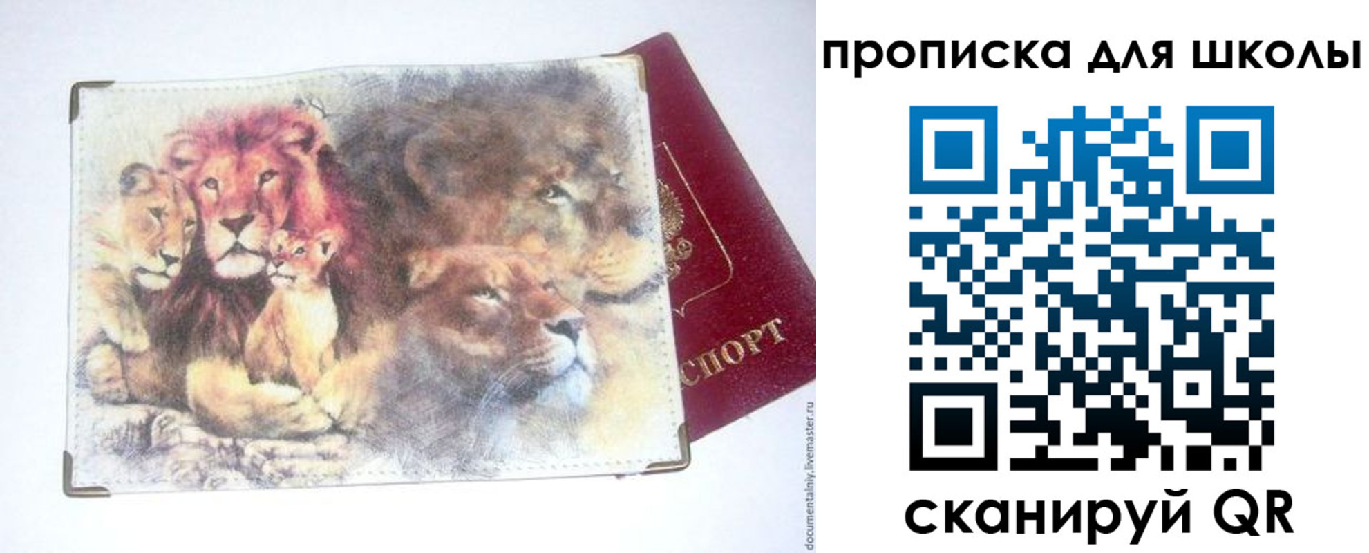временная регистрация гарантия в Никольском